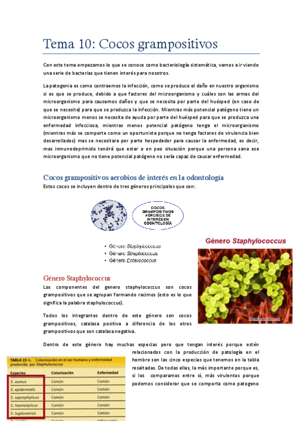 Miniatura del documento Tema 10 cocos grampositivos.pdf
