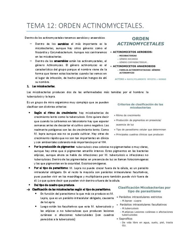 Miniatura del documento tema 12 antinomycetales.pdf