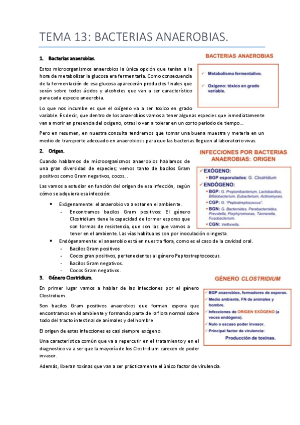 Miniatura del documento tema 13 bacterias anaerobias.pdf