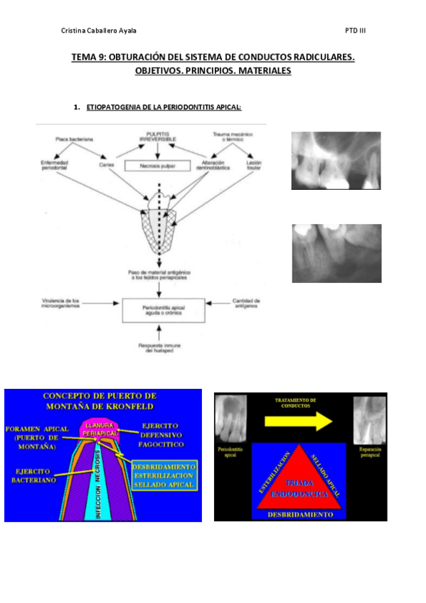 Miniatura del documento TEMA-9.pdf