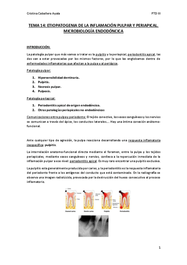 Miniatura del documento TEMA-14.pdf