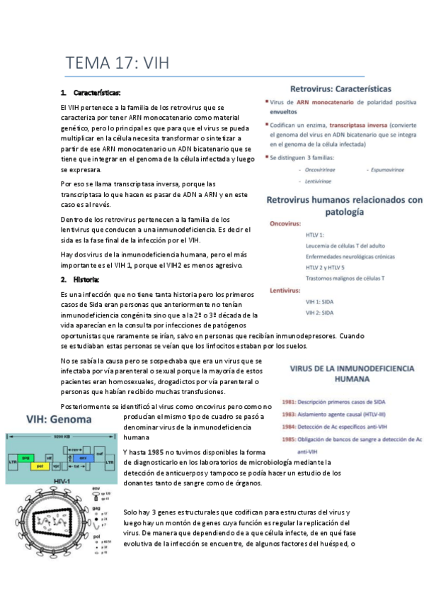 Miniatura del documento tema 17 vih.pdf