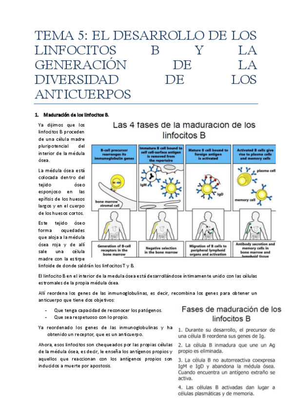Miniatura del documento Tema 5.pdf