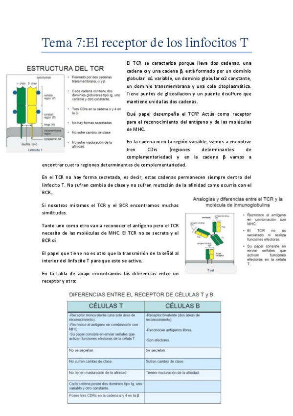 Miniatura del documento Tema 7.pdf