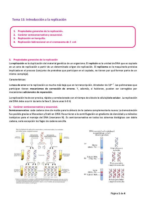 Miniatura del documento Tema 13.pdf