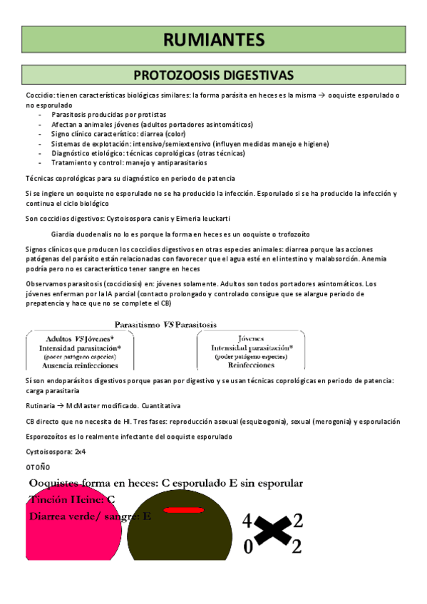 Miniatura del documento RUMIANTES.pdf
