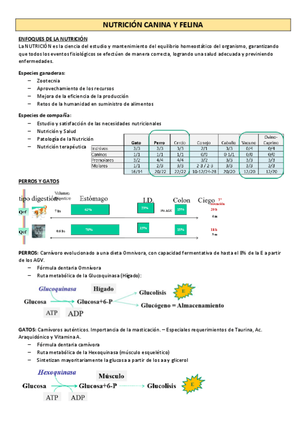 Miniatura del documento NUTRICION-CANINA-Y-FELINA.pdf