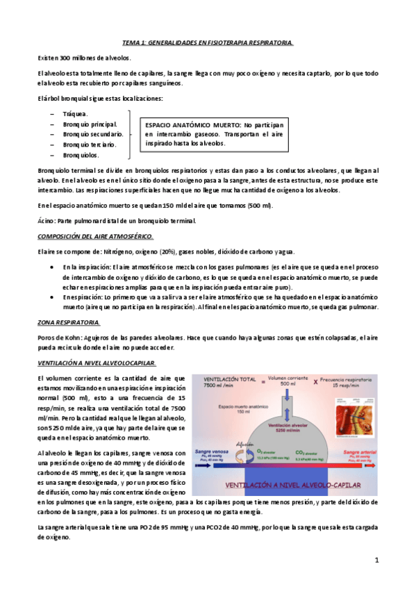 Miniatura del documento TEMA-1-GENERALIDADES-EN-FISIOTERAPIA-RESPIRATORIA.pdf