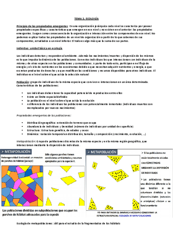 Miniatura del documento Tema-2.pdf