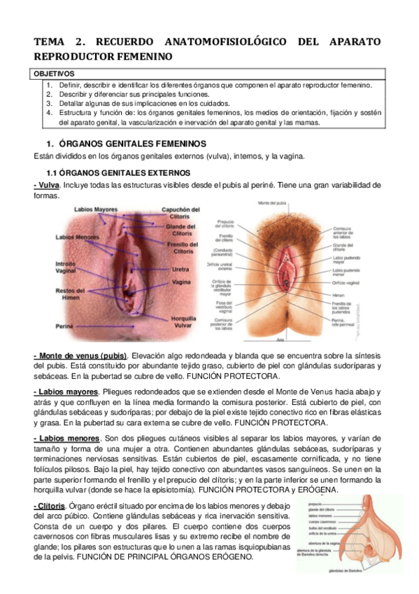 Miniatura del documento Tema-2.pdf