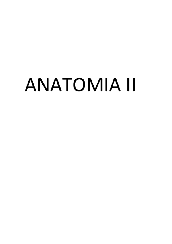 Miniatura del documento ANATOMIA II apuntes.pdf