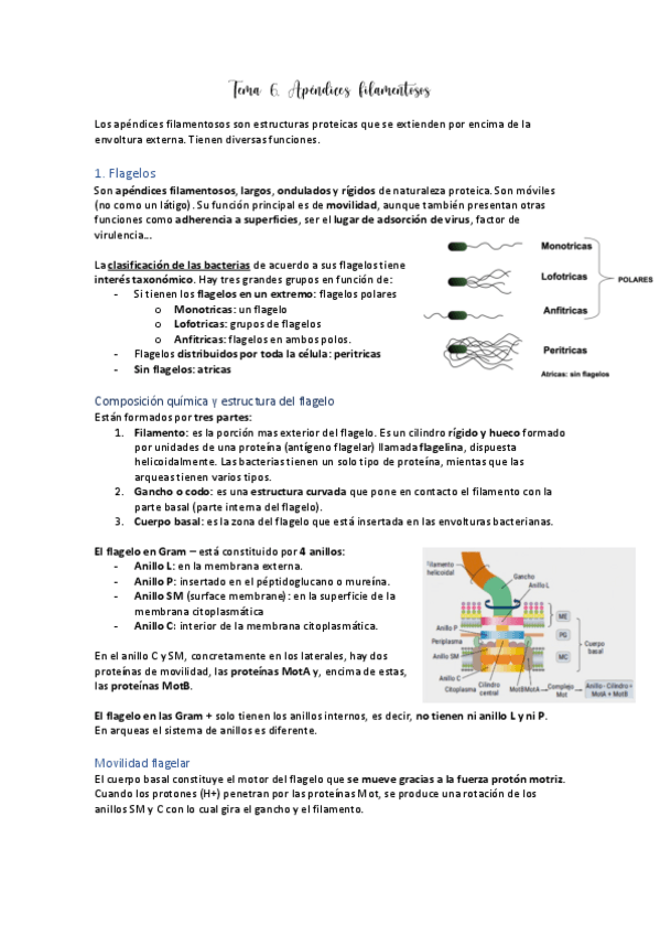 Miniatura del documento Tema-6.pdf