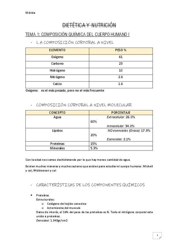 Miniatura del documento MERIDA.pdf