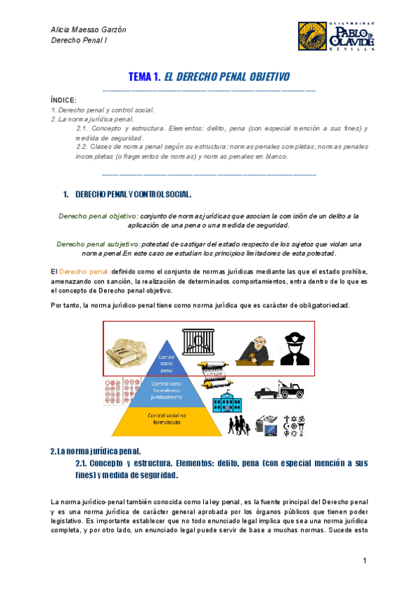 Miniatura del documento TEMA-1.pdf