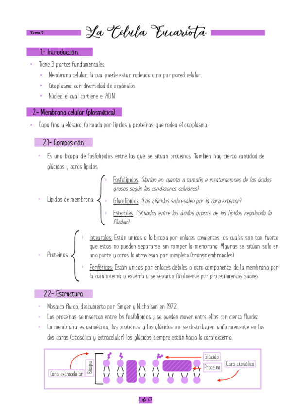 Miniatura del documento T.pdf