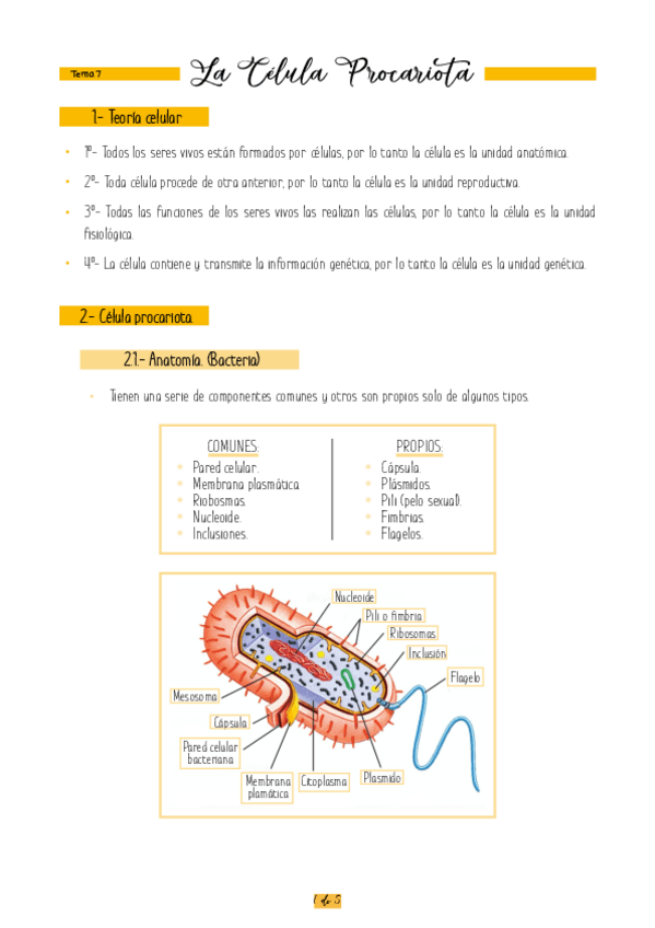 Miniatura del documento T.pdf
