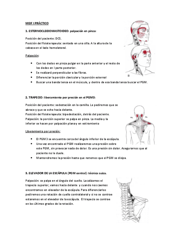 Miniatura del documento Apuntes MEIF I práctico.pdf
