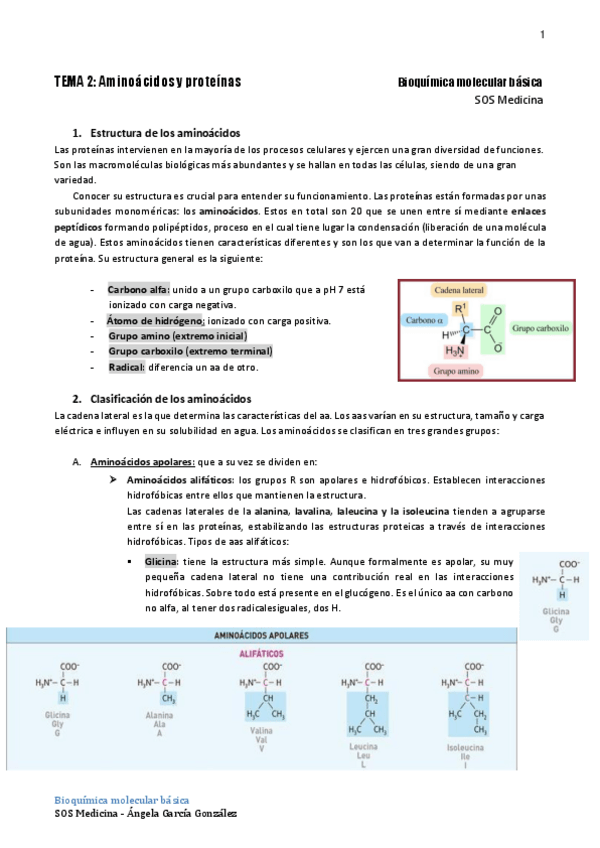 Miniatura del documento TEMA-2Bioq.pdf