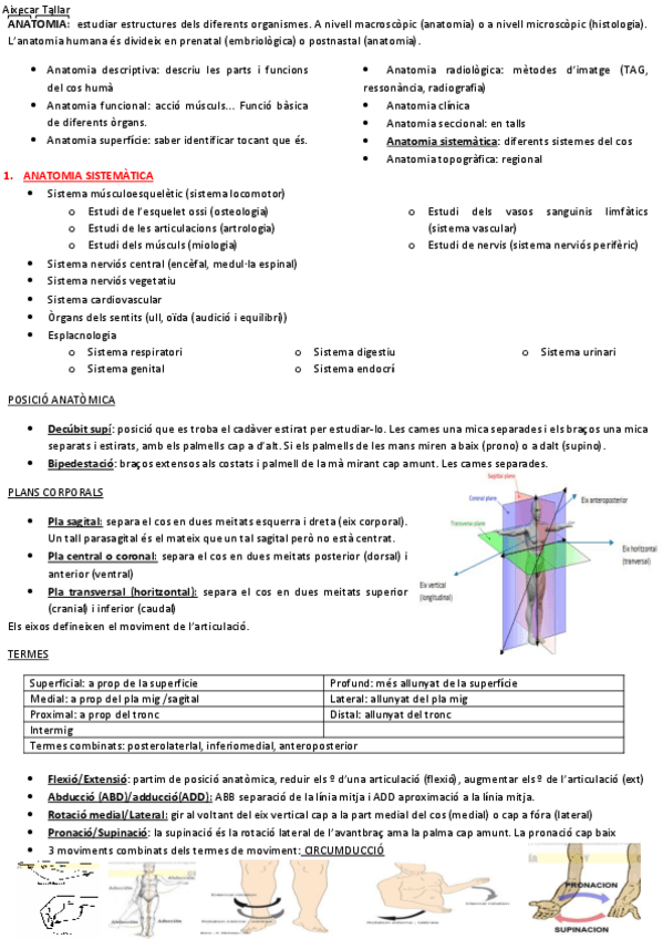 Miniatura del documento FINAL-ANATOMIA.pdf