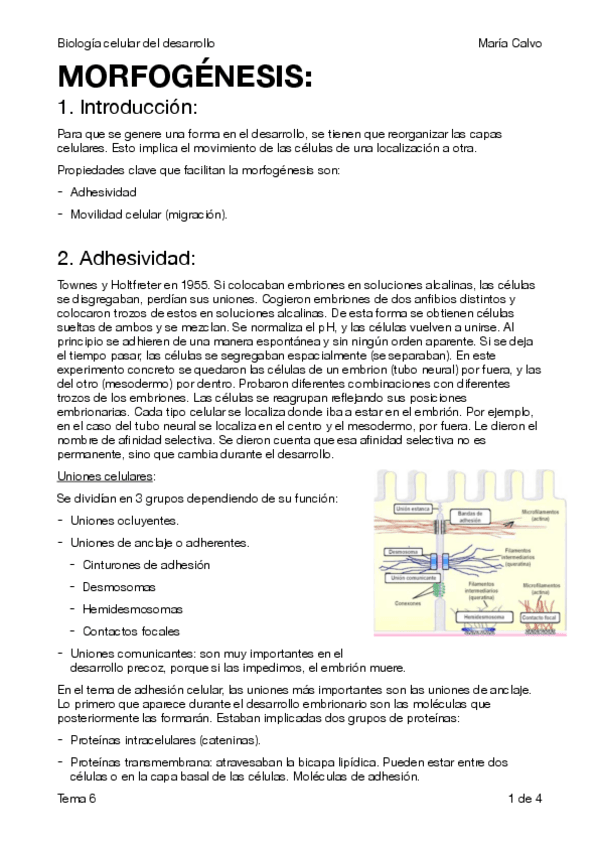 Miniatura del documento 6.pdf