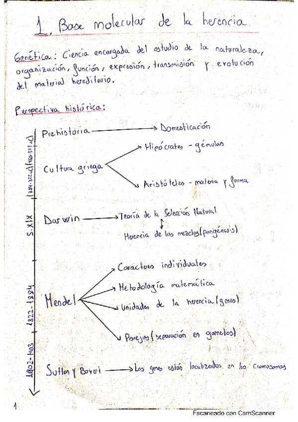 Miniatura del documento Resumen-y-esquemas.pdf