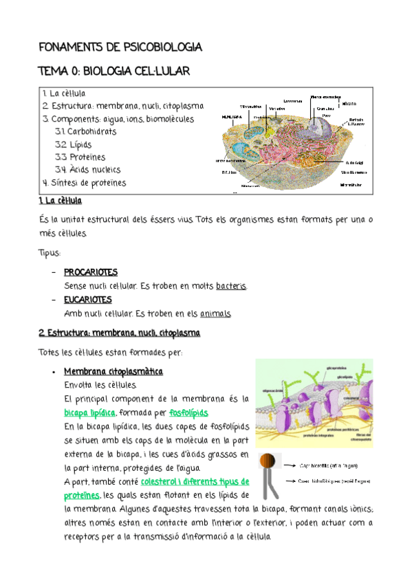 Miniatura del documento TEMA-0BIOLOGIA-CEL.pdf