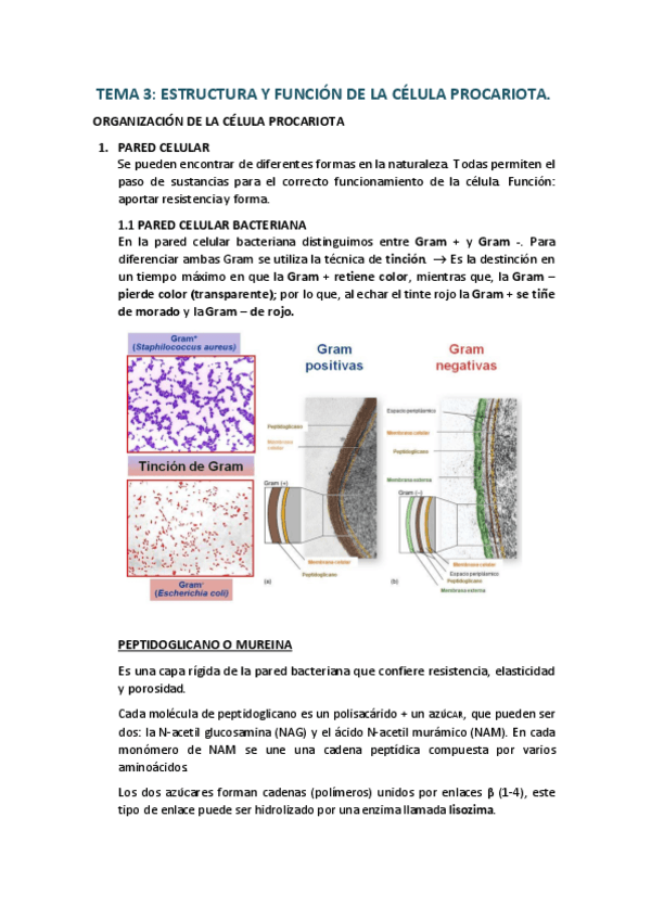 Miniatura del documento Tema-3.pdf