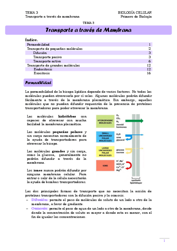 Miniatura del documento TEMA 3. Transporte a través de membrana