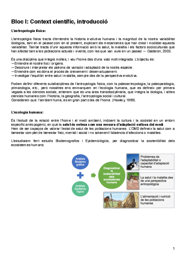 Miniatura del documento SA-Bloc-1.pdf