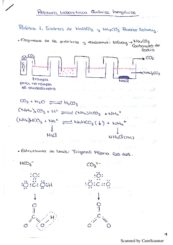 Miniatura del documento Resumen y Respuestas Laboratorio Quimica II Inorgánica.pdf