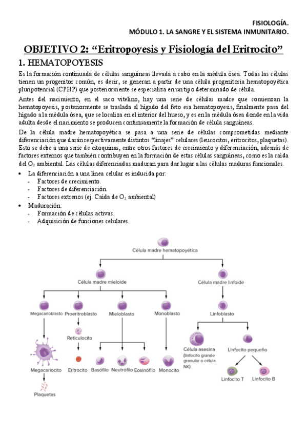 Miniatura del documento FISM1OB2Apuntes.pdf