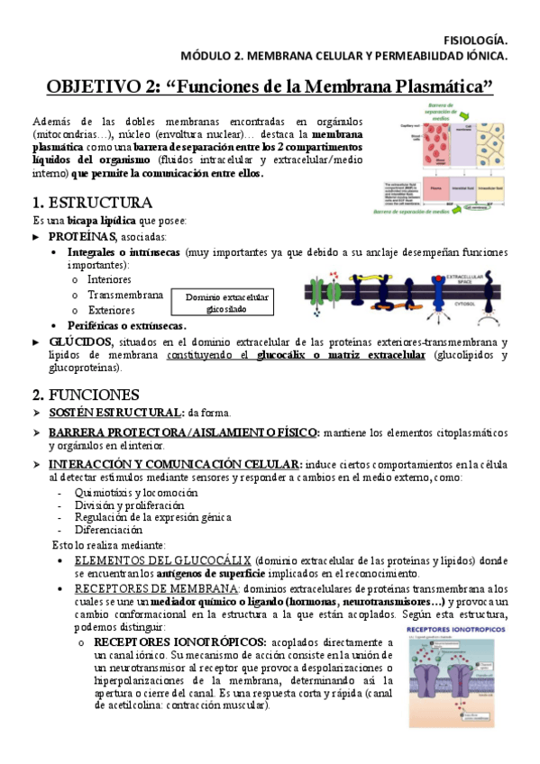 Miniatura del documento FISM2OB2Apuntes.pdf