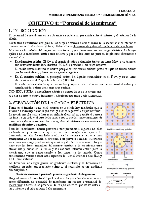 Miniatura del documento FISM2OB4Apuntes.pdf