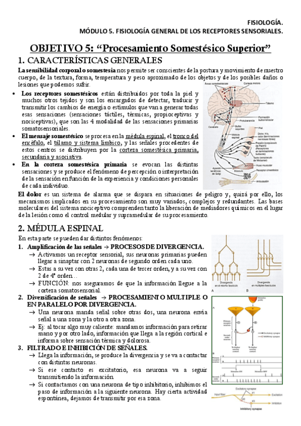 Miniatura del documento FISM5OB5Apuntes.pdf