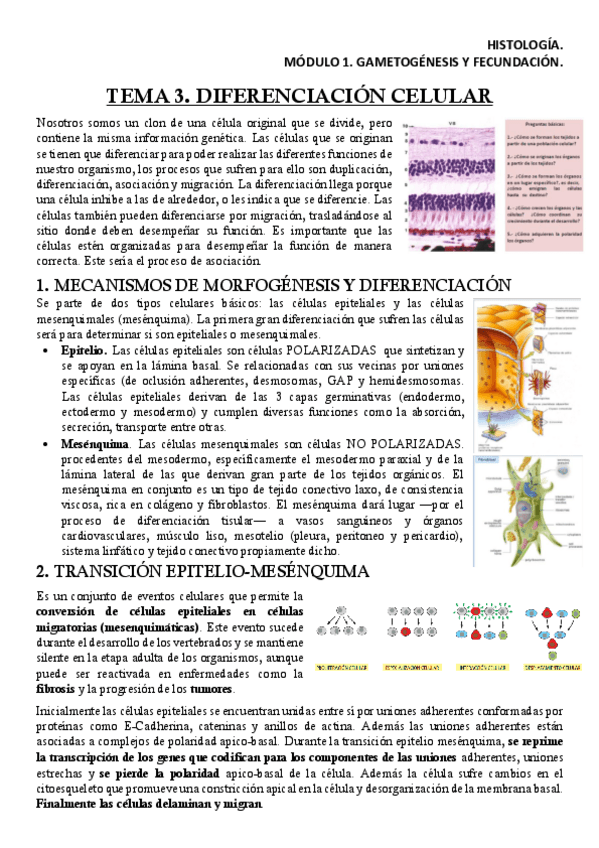 Miniatura del documento HISM1T3Apuntes.pdf