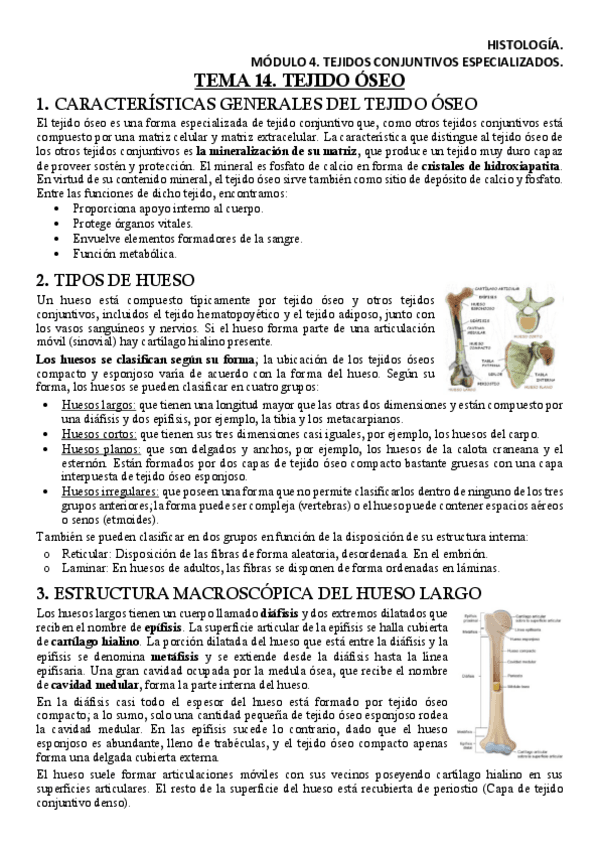Miniatura del documento HISM4T14Apuntes.pdf