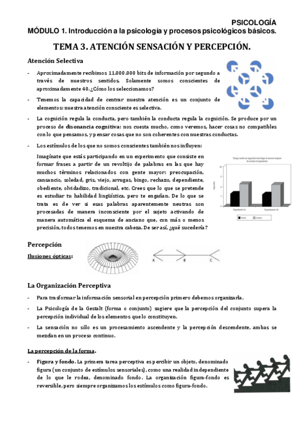 Miniatura del documento PSIM1T3Apuntes.pdf