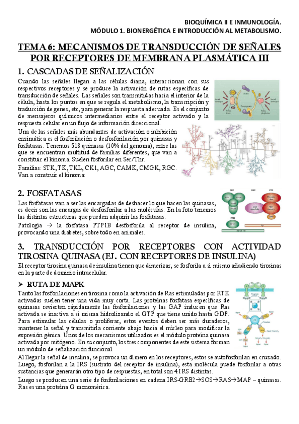 Miniatura del documento BQM1T6Apuntes.pdf