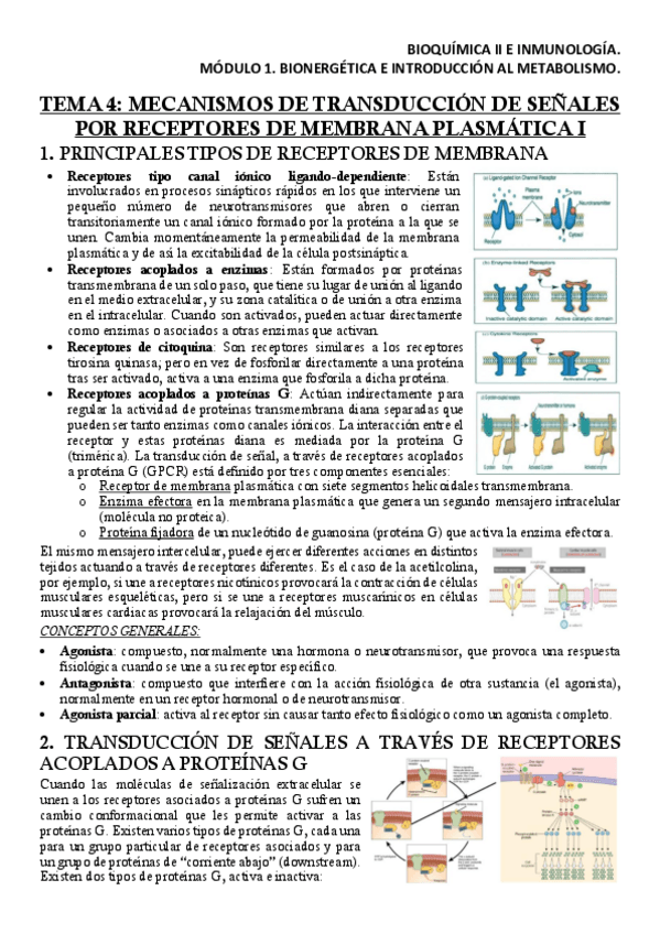 Miniatura del documento BQM1T4Apuntes.pdf