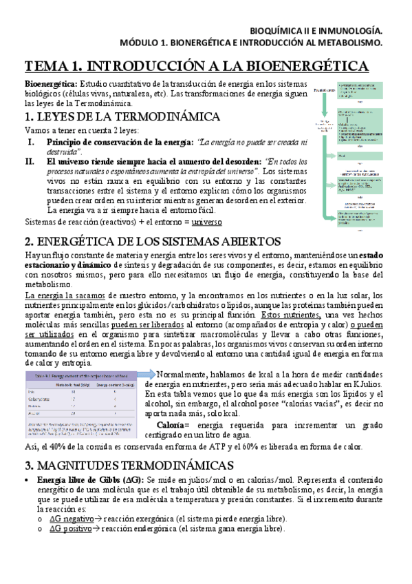 Miniatura del documento BQM1T1Apuntes.pdf