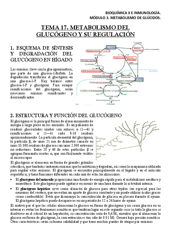 Miniatura del documento BQM3T17Apuntes.pdf