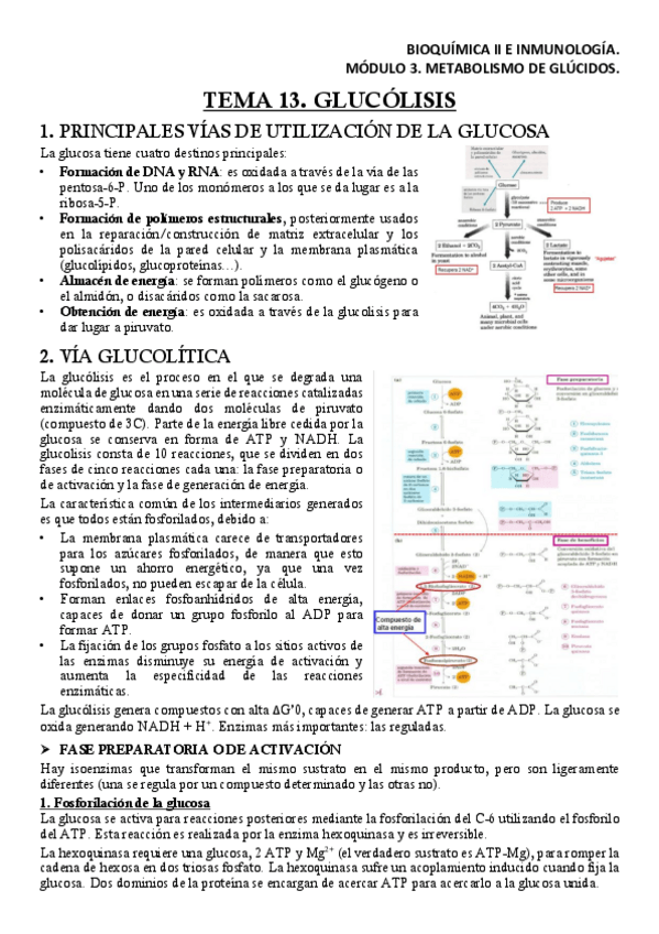Miniatura del documento BQM3T13Apuntes.pdf