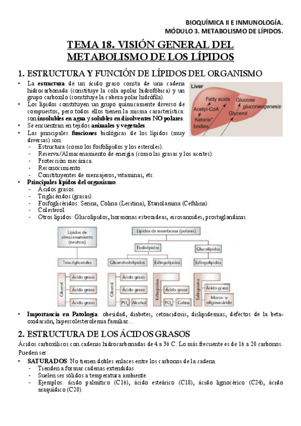Miniatura del documento BQM4T18Apuntes.pdf