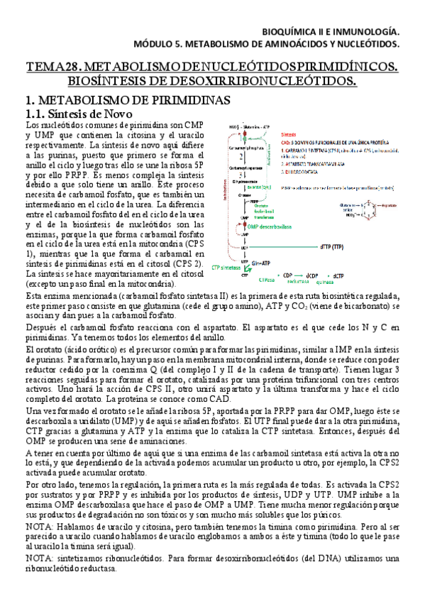 Miniatura del documento BQM5T28Apuntes.pdf