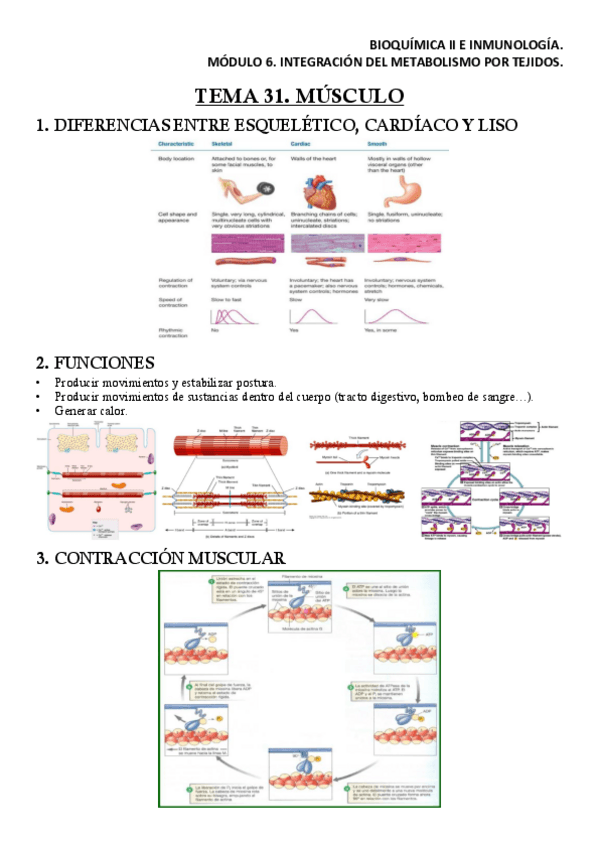 Miniatura del documento BQM6T31Apuntes.pdf
