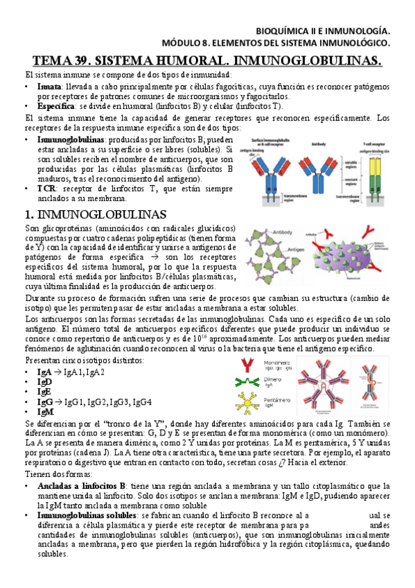 Miniatura del documento BQM8T39Apuntes.pdf