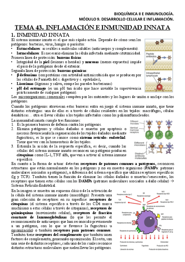 Miniatura del documento BQM9T43Apuntes.pdf