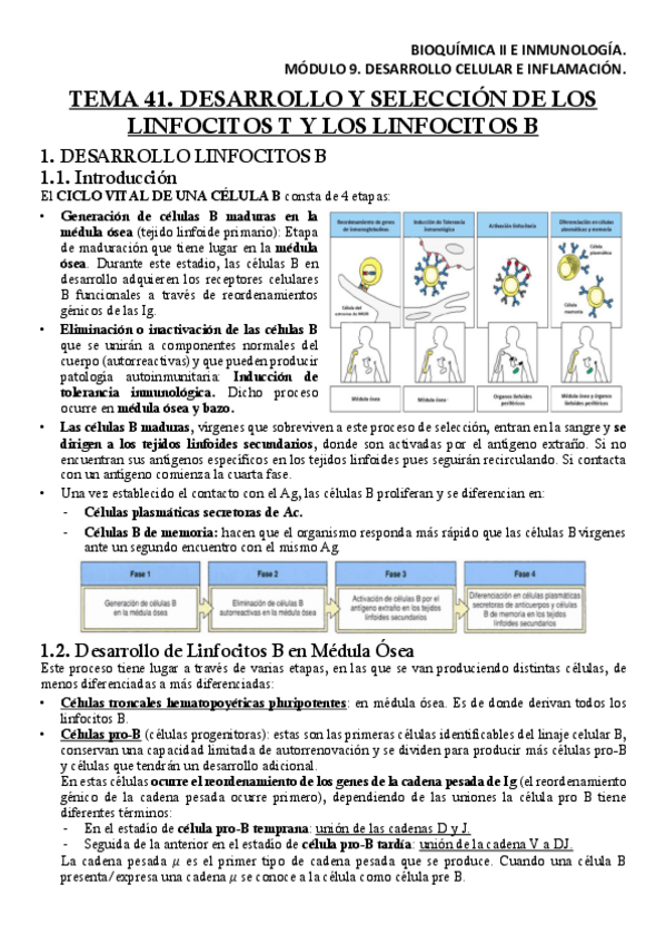 Miniatura del documento BQM9T41Apuntes.pdf