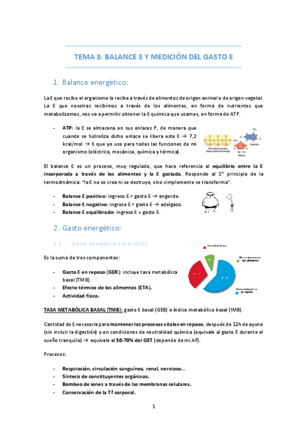 Miniatura del documento TEMA-3-BALANCE-Y-MEDICION-DEL-GASTO-ENERGETICO.pdf