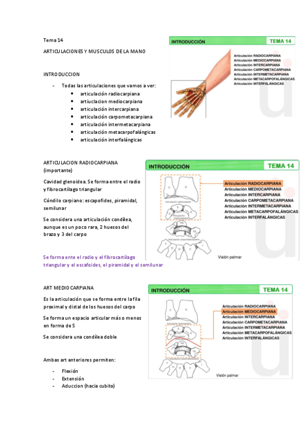 Miniatura del documento T14-ARTICULACIONES-Y-MUSCULOS-MANO.pdf